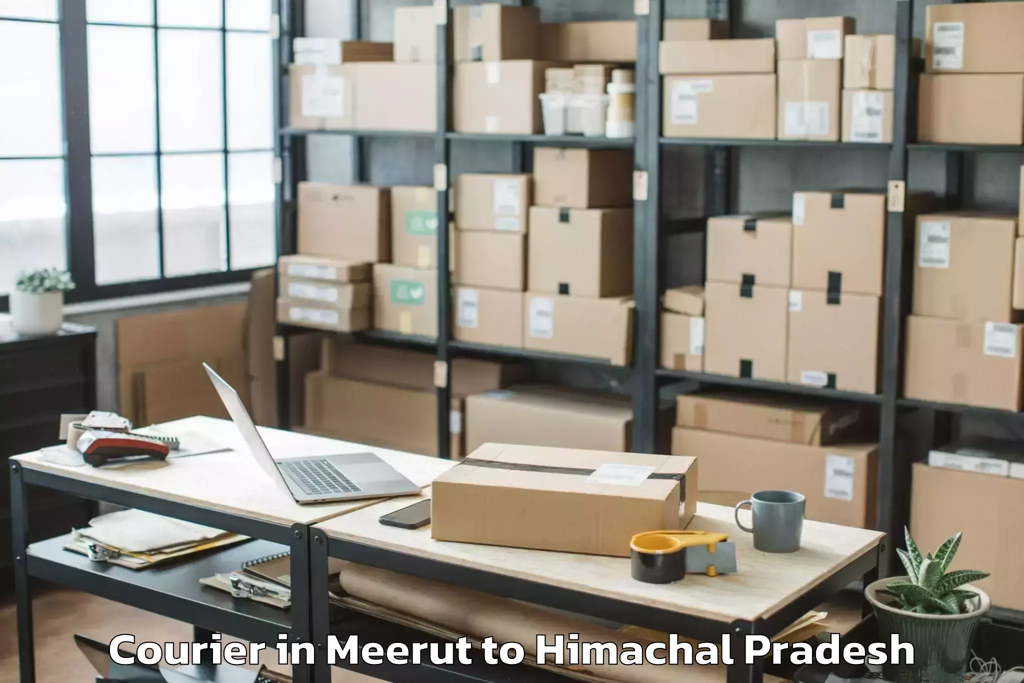 Easy Meerut to Lahul Courier Booking